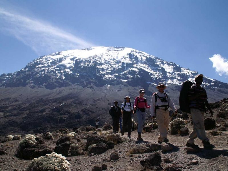 Kilimanjaro-003